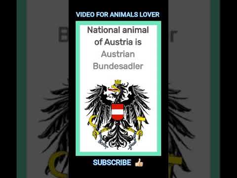 what is the national animal of bolivia